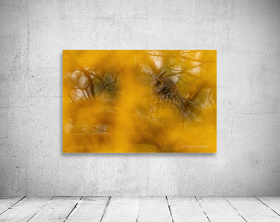 LEO Fall Time Wall Preview