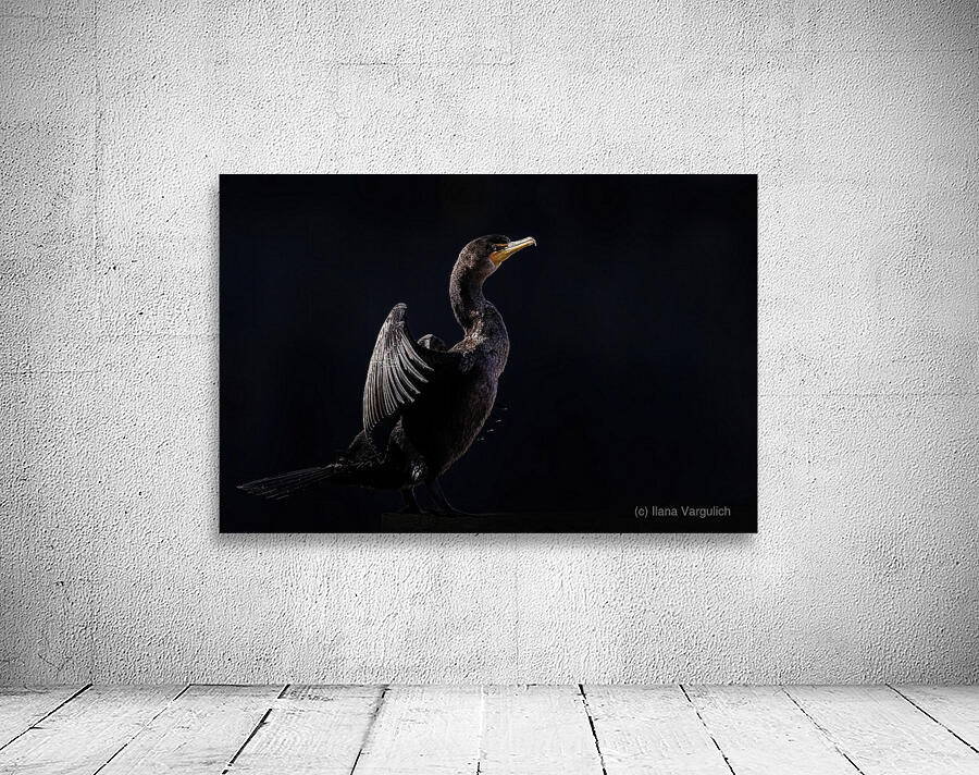 Cormorant Elegant Wall Preview