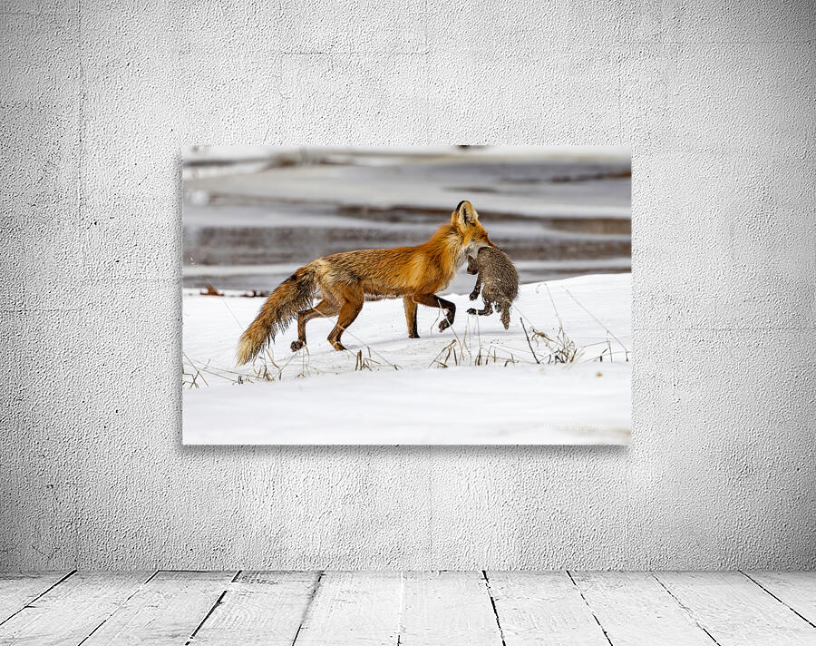 Baby Fox Story Wall Preview