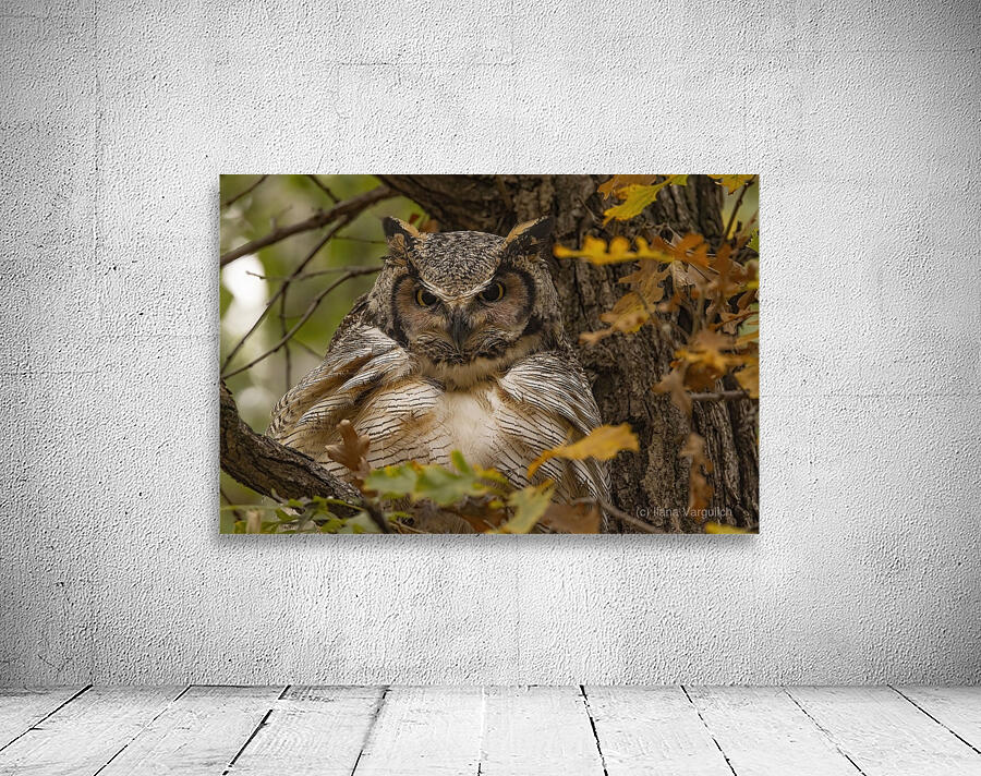 GHO Fall Time Wall Preview