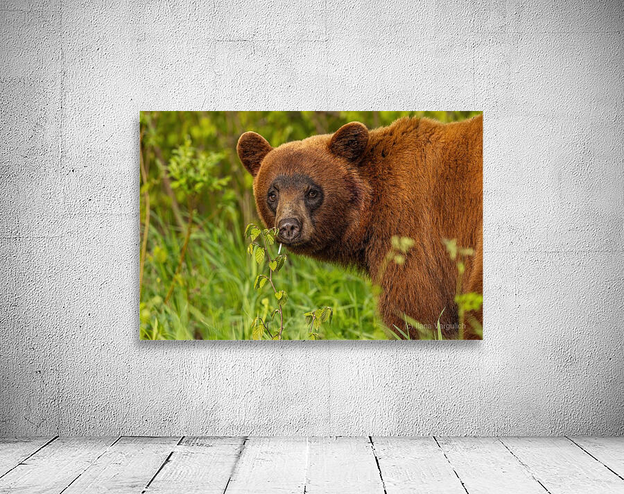 Cool Face Wall Preview