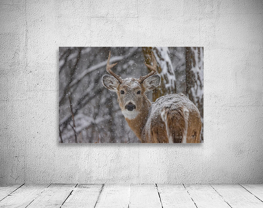 Deer Winter Love Wall Preview