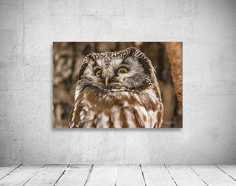 Boreal 2 Wall Preview