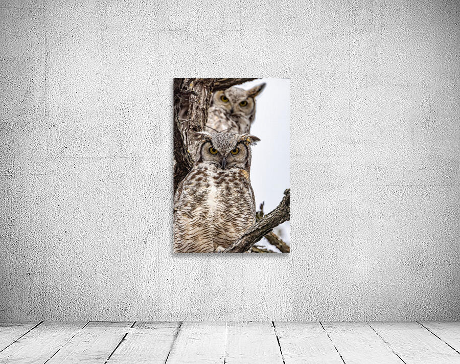 GHO Double Wall Preview