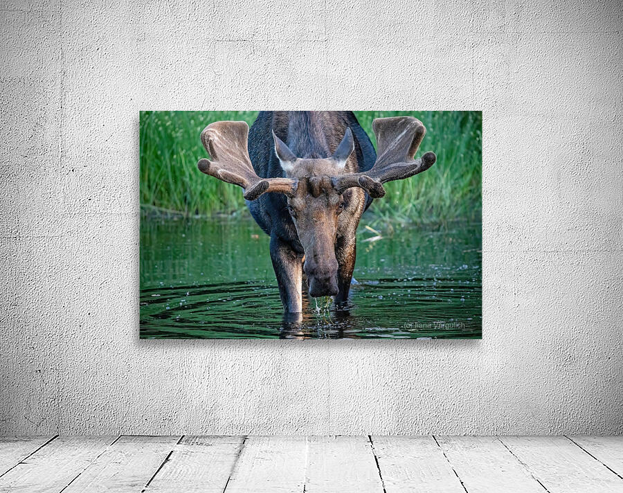 Big Boy 2 Wall Preview