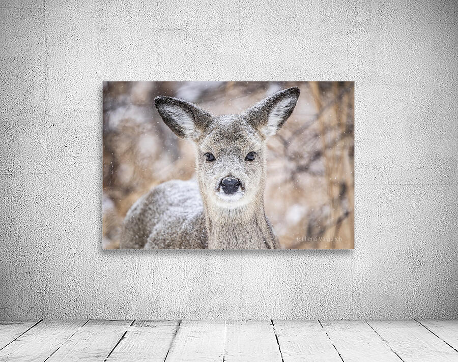 Cute Deer Wall Preview