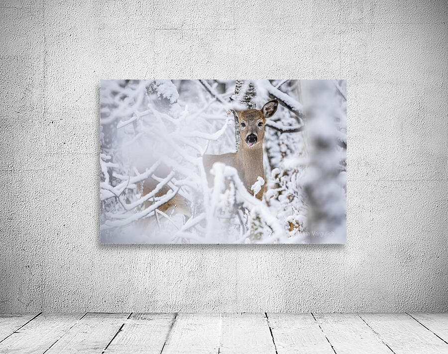 Deer Winter Wonder Wall Preview