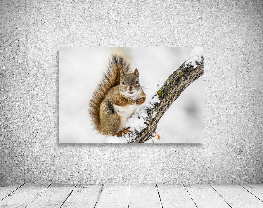 Red Squarel 2 Wall Preview