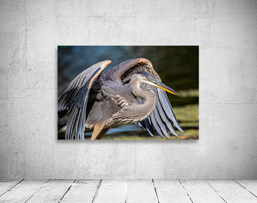 Blue Heron 2 Wall Preview