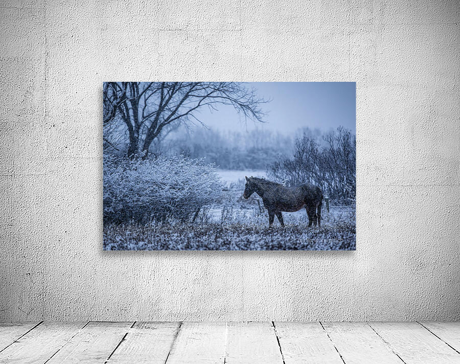 Horse Farm Wall Preview