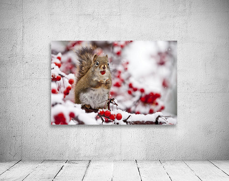 Red Squarel 3 Wall Preview