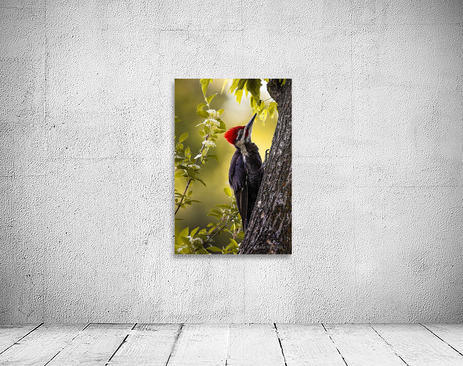 Pileated Woodpecker 2 Wall Preview