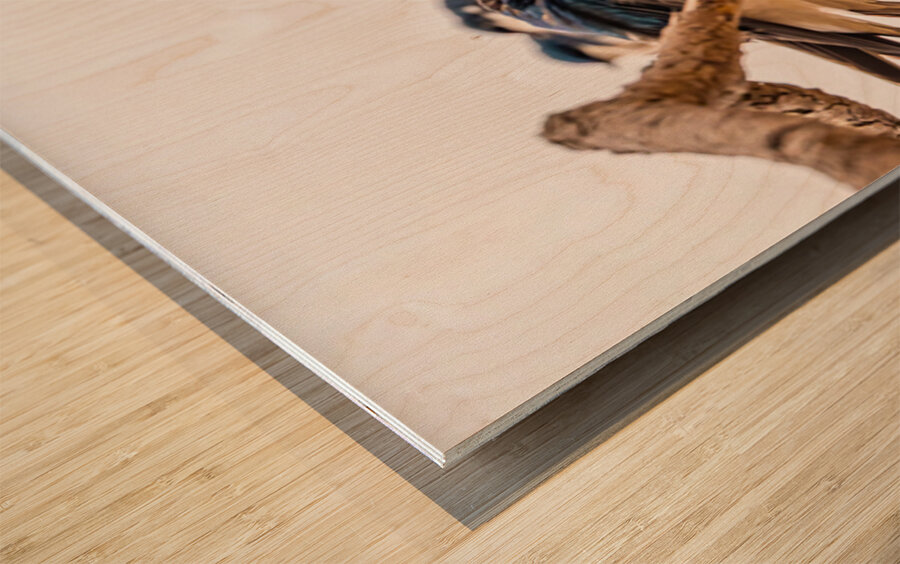 Gathering Wood print