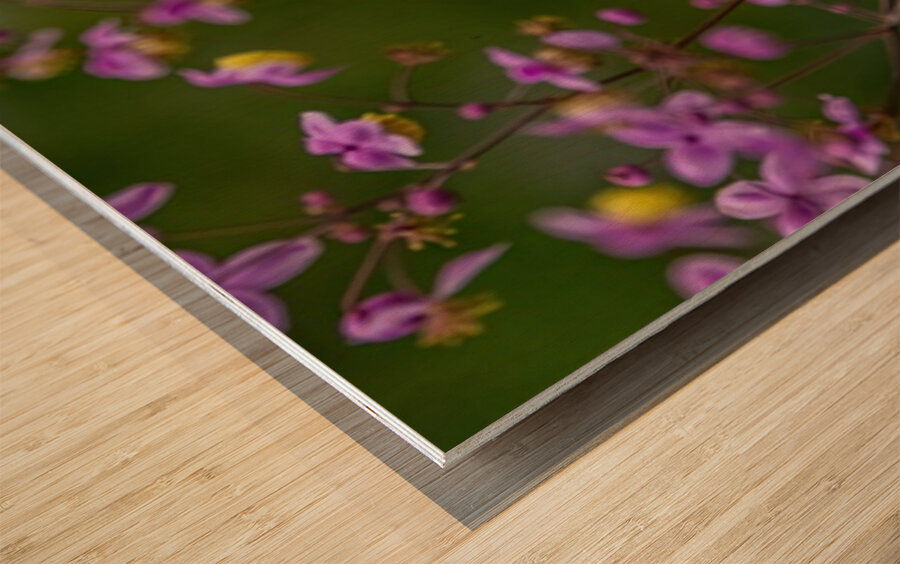 Hummingbird in Flower Frame Wood print