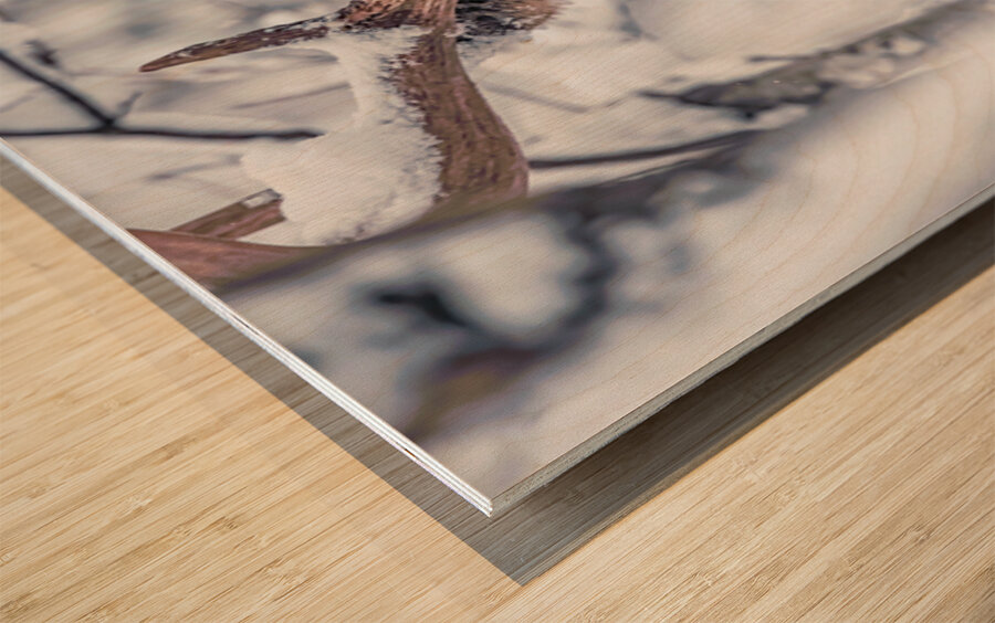 Buck Glancial Blue Wood print