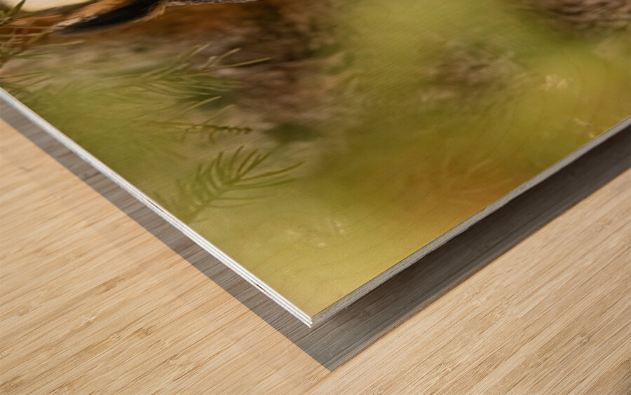 LEO Portrait Wood print