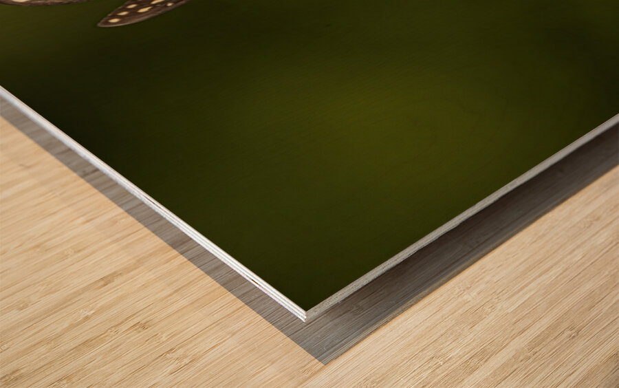 Flower Story Wood print