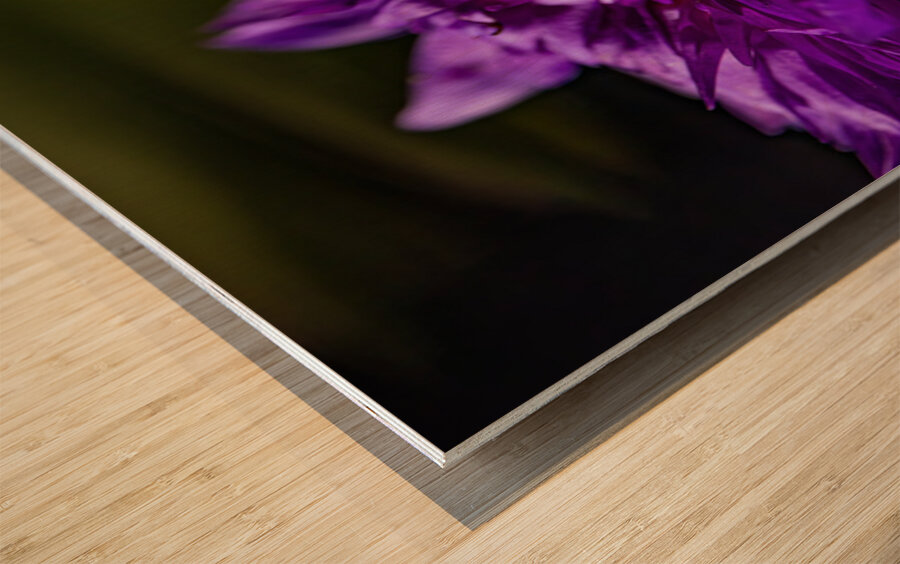 Flower Story 2 Wood print