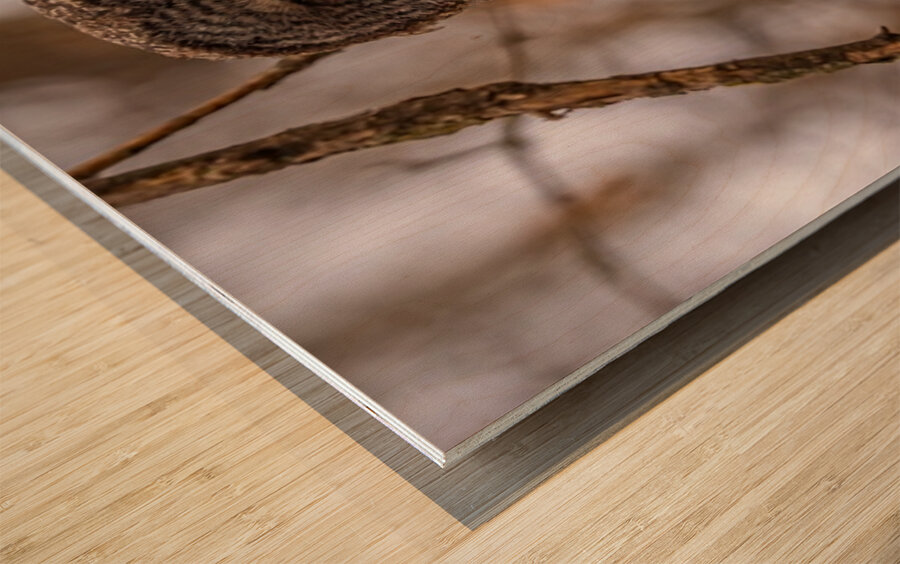 GGO 5 Peekaboo Wood print