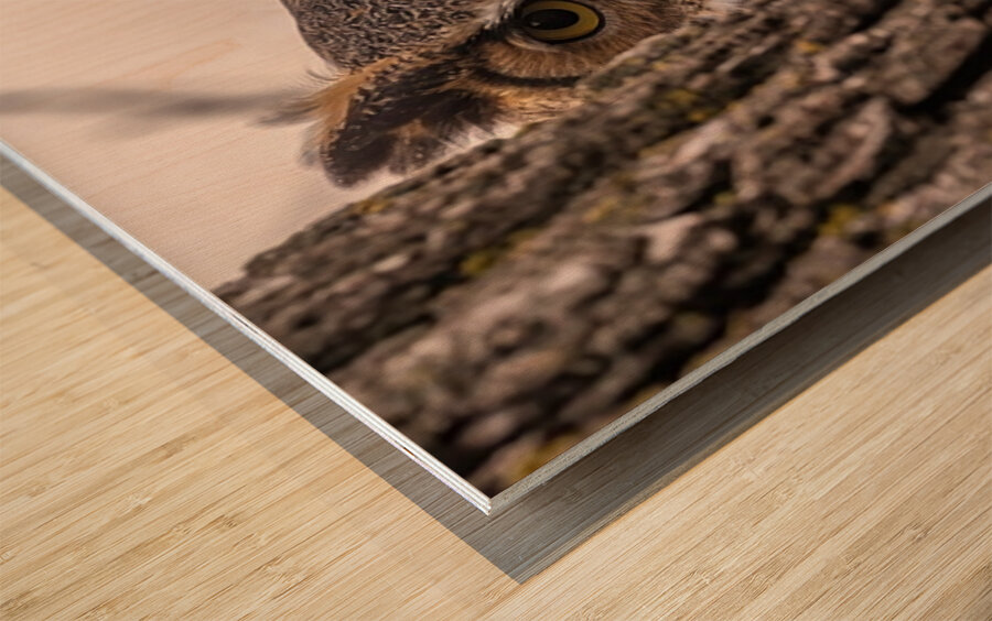 GHO Peekaboo Wood print