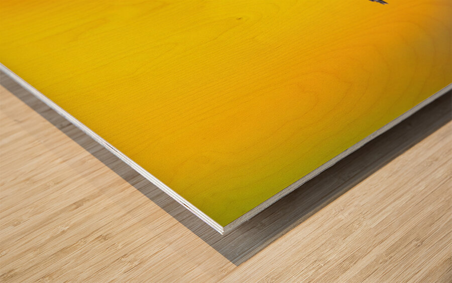 Hummingbird 4 Wood print