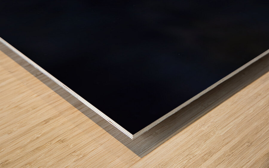 Double Cormorant Wood print