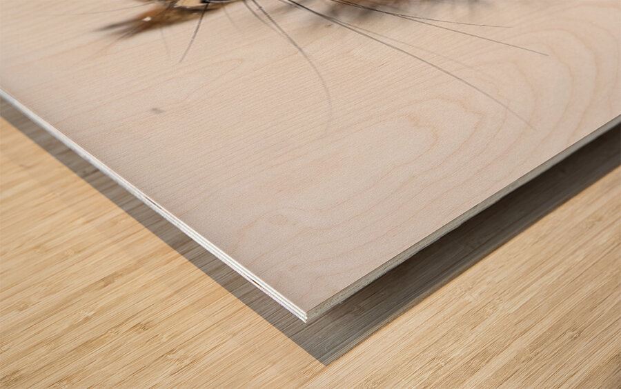 Red Squirrel Wood print