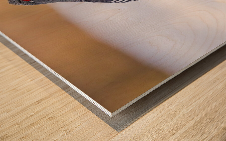 Spruce Grouse Wood print