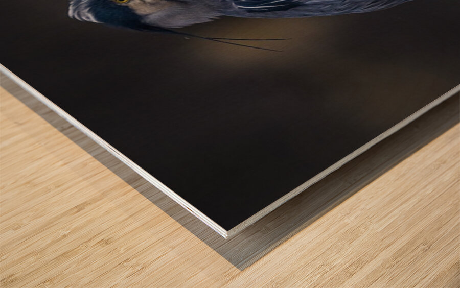 Blue Heron Wood print