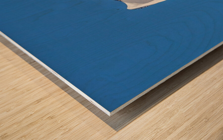 Snowy Owl Wood print