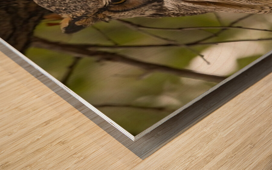 GHO Fall Time Wood print