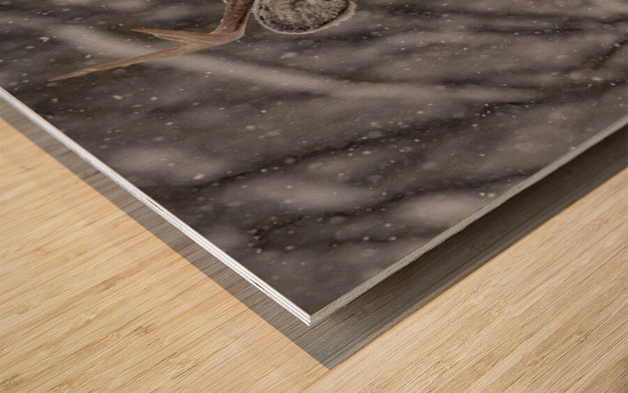 Deer Winter Love Wood print