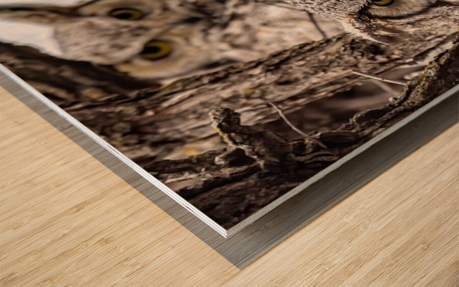 GHO Double Wood print