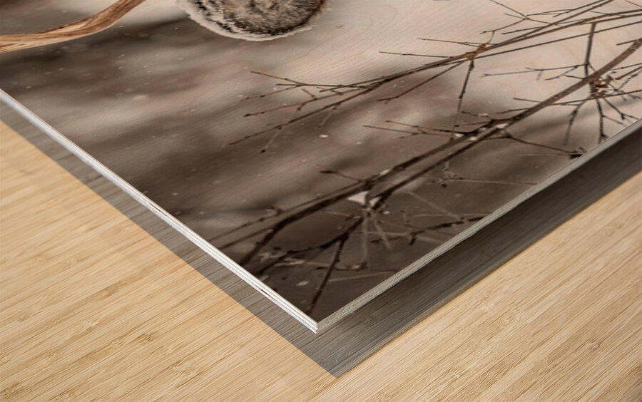 Buck under the Snow Wood print