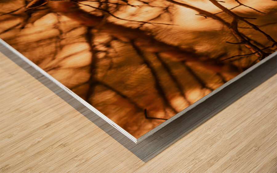 LEO Sunset Wood print