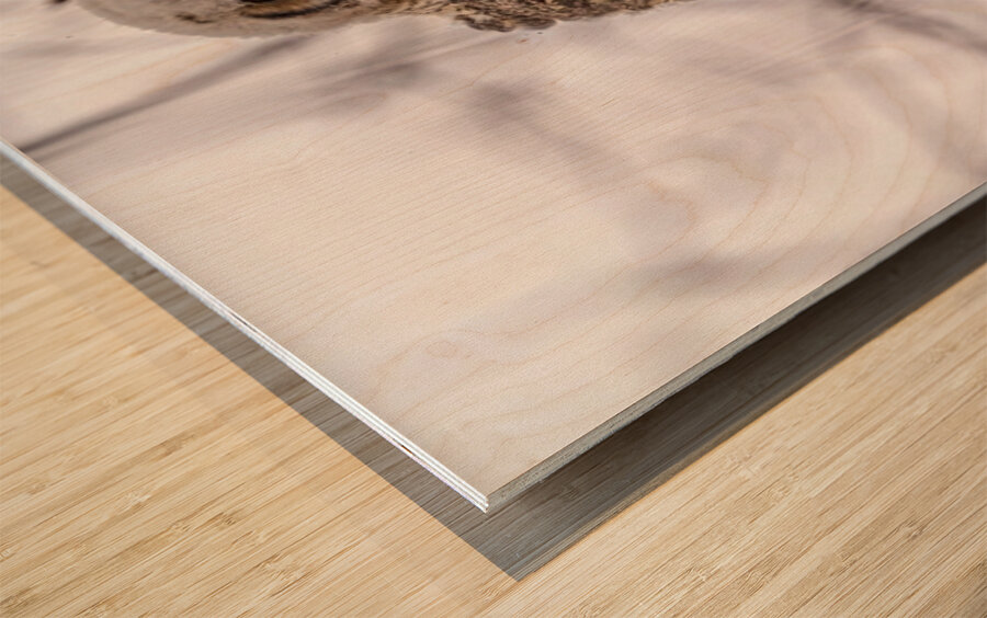 GHOwlet 2 Wood print