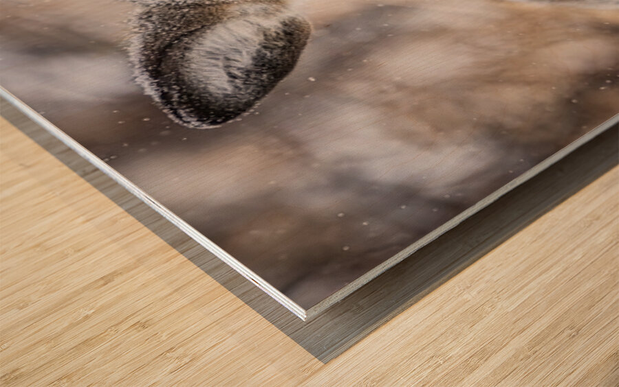 Cute Deer Wood print