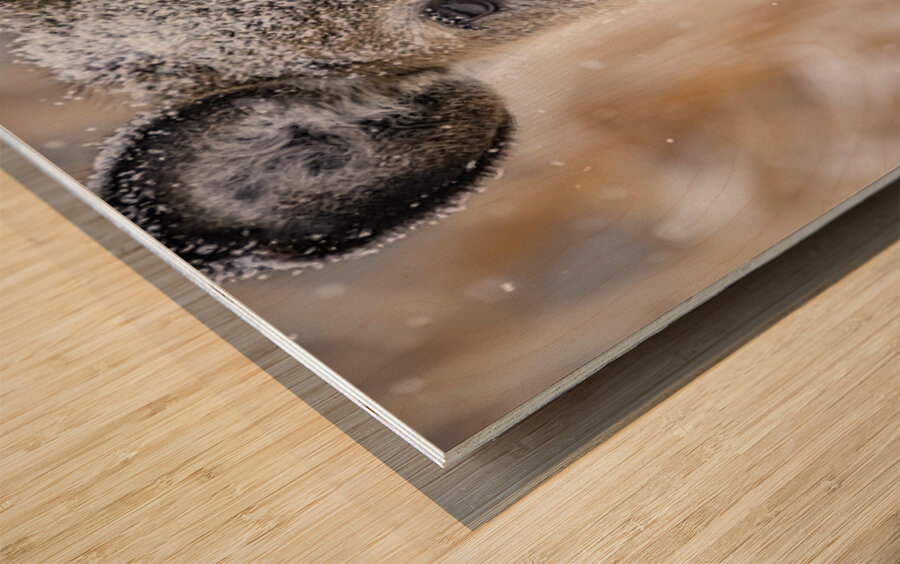 Cute Deer 2 Wood print