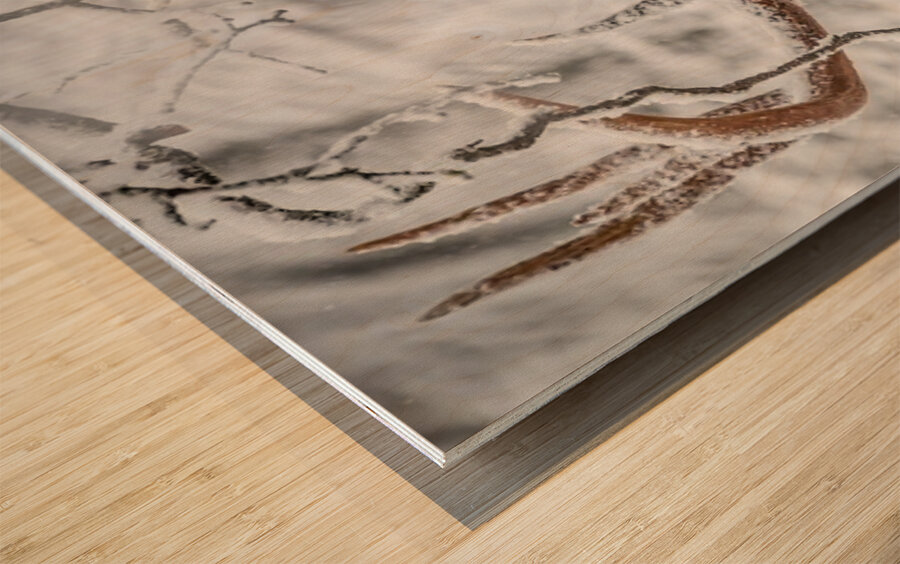 Big Buck Winter Wood print