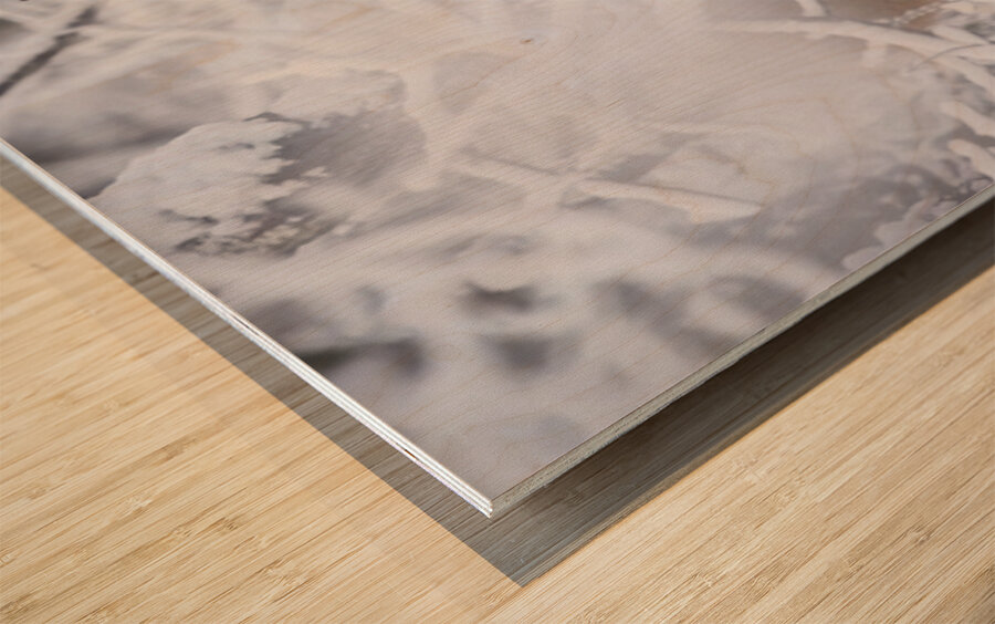 Deer Winter Wonder Wood print