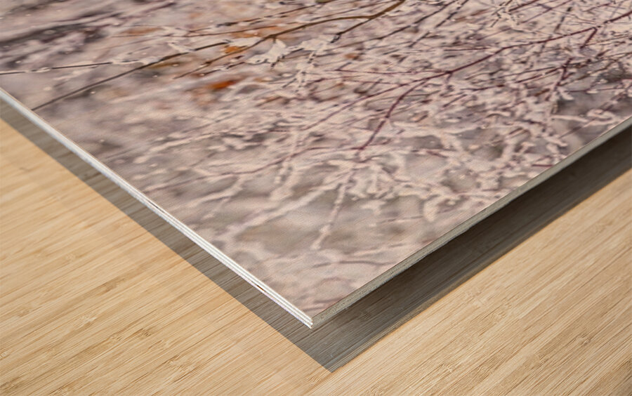 Buck Winter Day Wood print