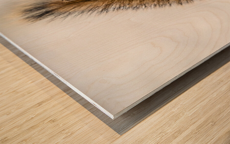 Red Squarel 2 Wood print