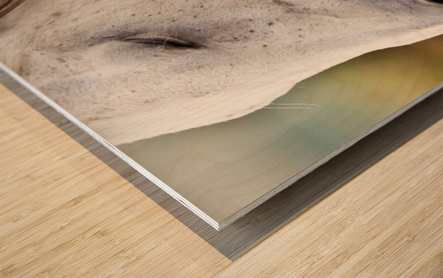 Horse Portrait 2 Wood print