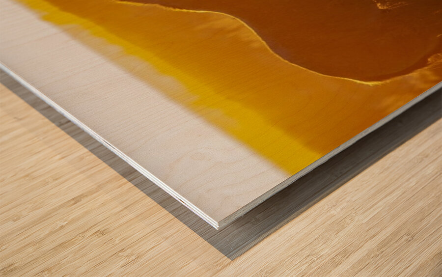 Horse Sunset Wood print