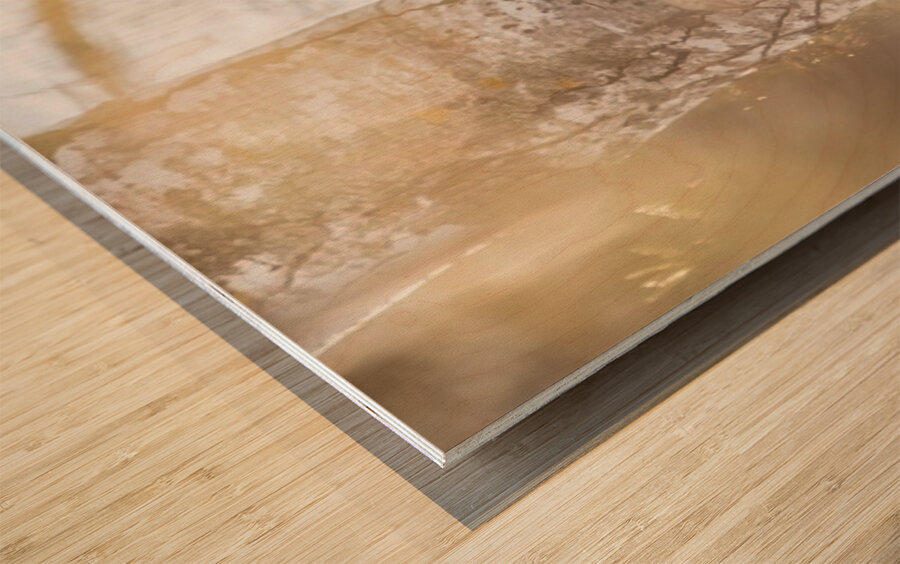 Pileated Woodpecker Wood print