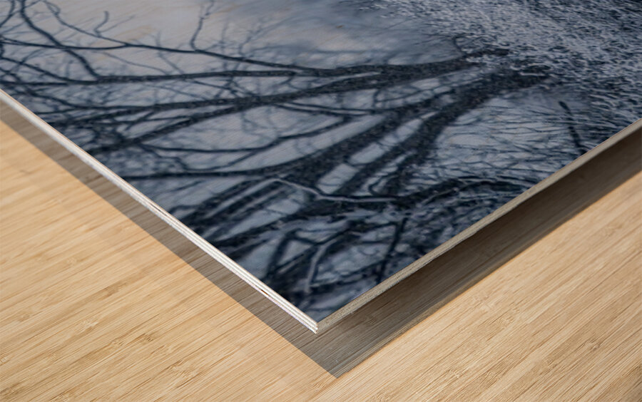 Horse Farm Wood print