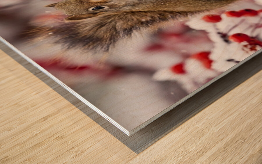 Red Squarel 3 Wood print