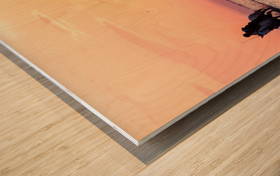 Camargue Horses Sunset Wood print