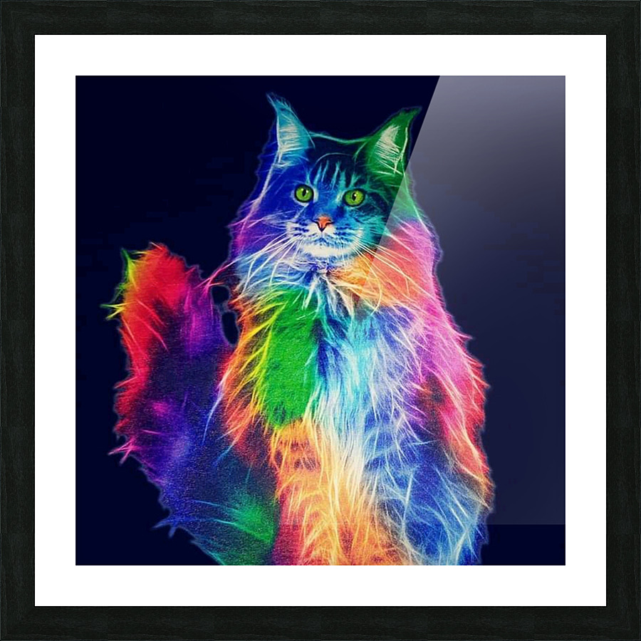 COLOURFUL CAT Picture Frame print