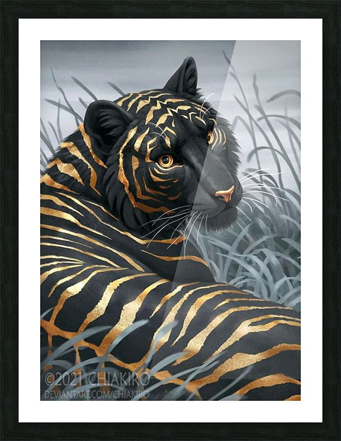 Black Tiger Picture Frame print